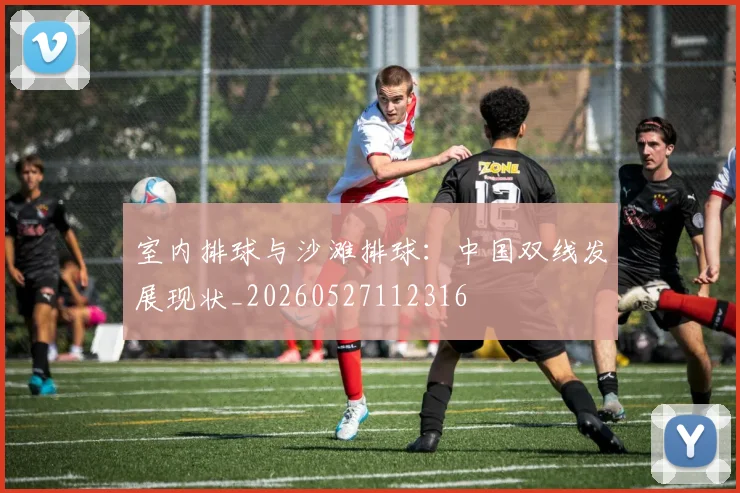 室内排球与沙滩排球:中国双线发展现状_20260527112316