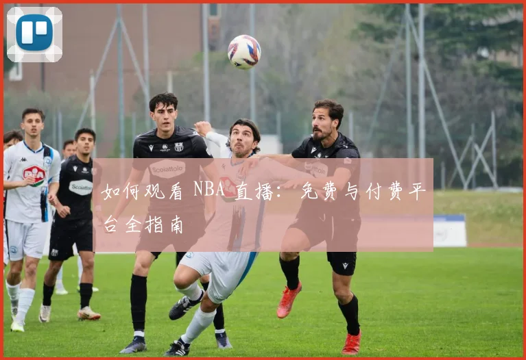 如何观看 NBA 直播：免费与付费平台全指南